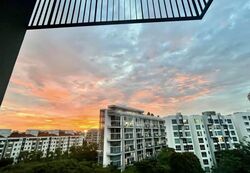 Mayfair Modern (D21), Condominium #592547081
